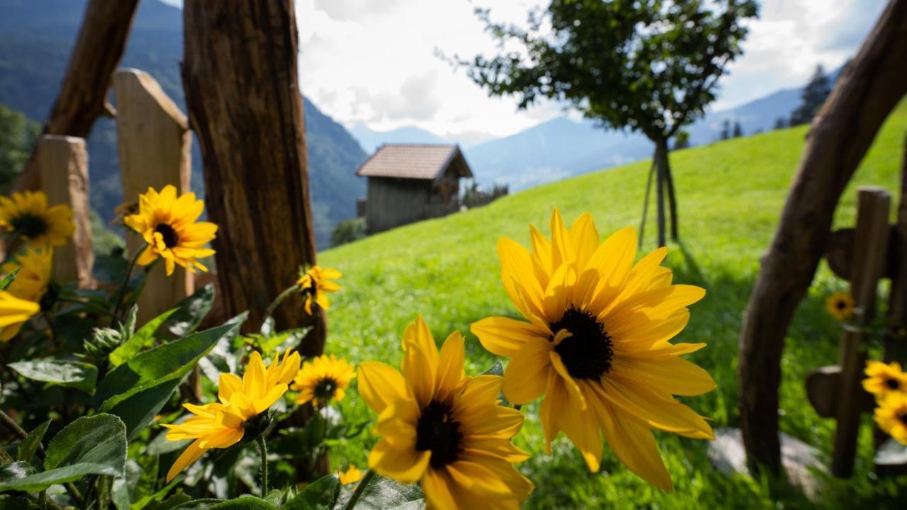 Chalet Schroeckgut Бад Хофгащайн Екстериор снимка